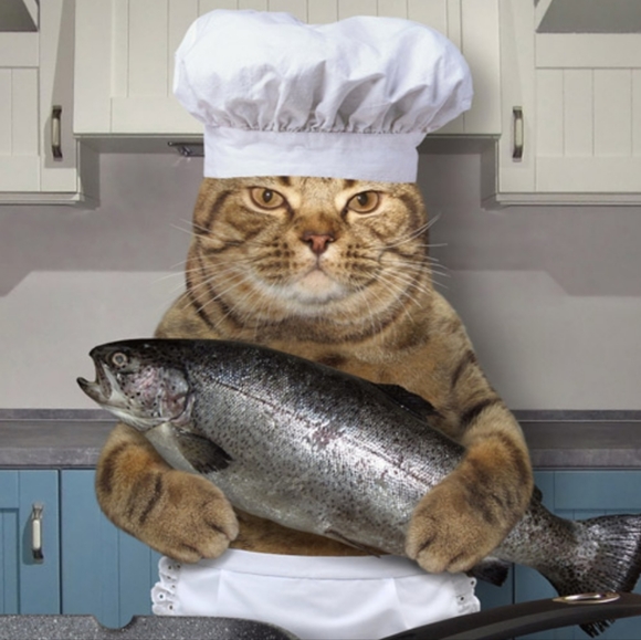 Meet your Posher, Aries - Picture 4 of 16